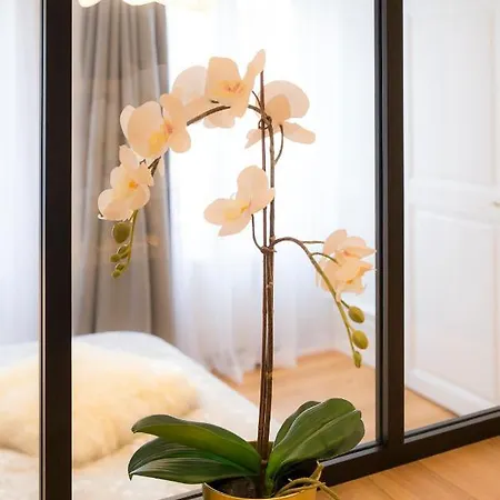 Cosy Hypercentre Apartment